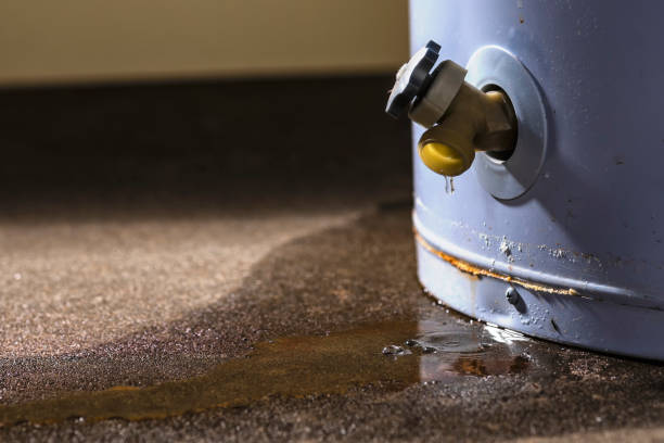 Best Water damage cleanup near me  in Hemlock Farms, PA