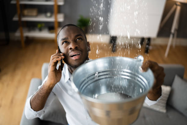 Best Professional water damage repair  in Hemlock Farms, PA