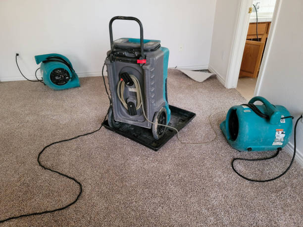 Best Residential water damage restoration  in Hemlock Farms, PA