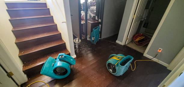 Best Water damage restoration near me  in Hemlock Farms, PA