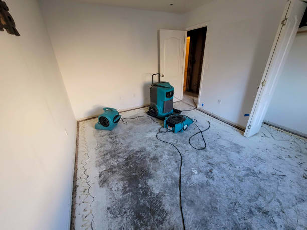 Best Water damage contractors near me  in Hemlock Farms, PA