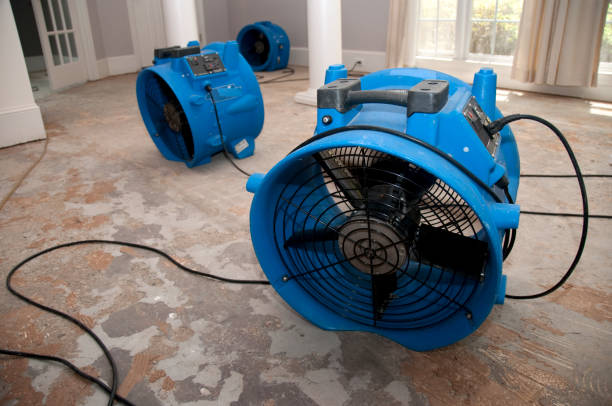 Best Water damage restoration near me  in Hemlock Farms, PA