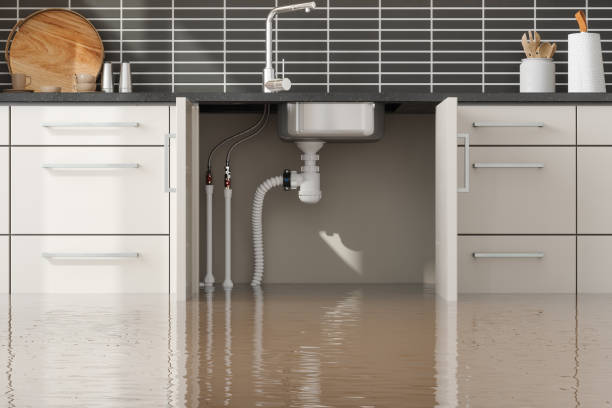Reliable Hemlock Farms, PA Water damage restoration Solutions