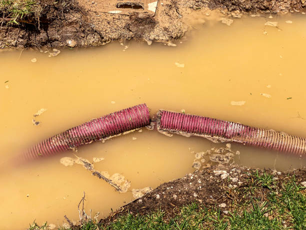 Best Commercial water damage restoration  in Hemlock Farms, PA