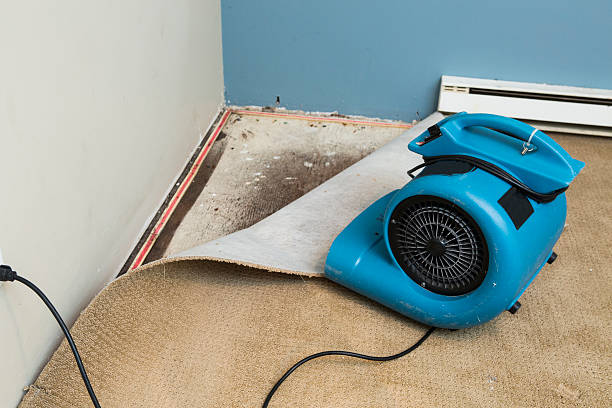 Reliable Hemlock Farms, PA Water damage restoration Solutions